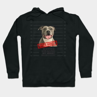 Pitbull Mugshot Steeling my Heart Under Arrest Hoodie